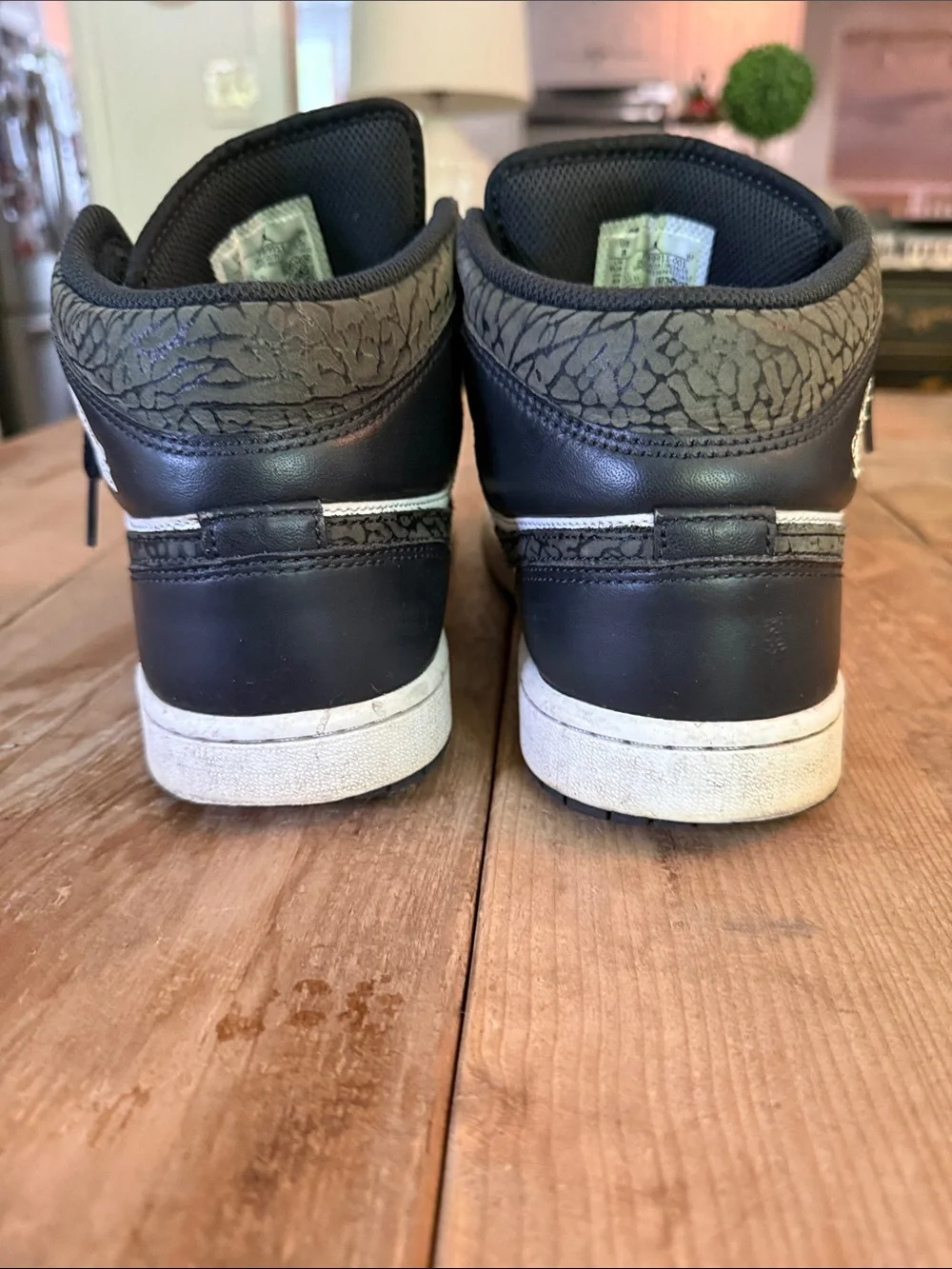 Jordan classic silhouette